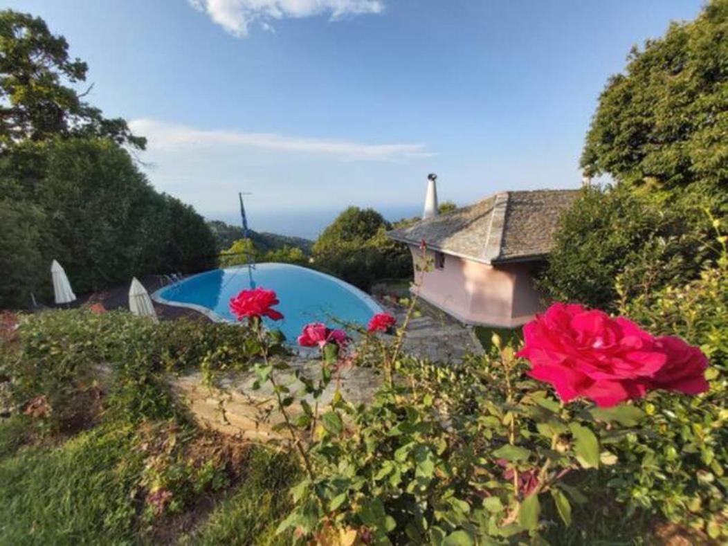 Tsagkarada Country Estate With Pool Villa Luaran gambar